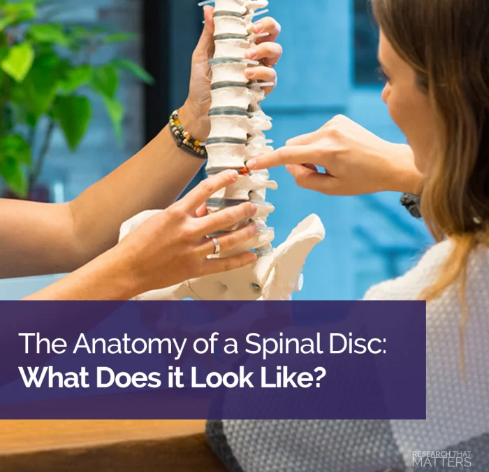 spinal disc washington dc